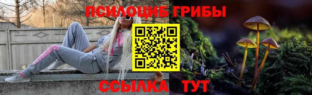 Псилоцибиновые грибы Psilocybe  Галлюциногенные грибы Psilocybe  Невинномысск  Вход с VPN 